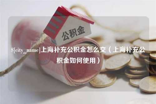 琼海上海补充公积金怎么交（上海补充公积金如何使用）